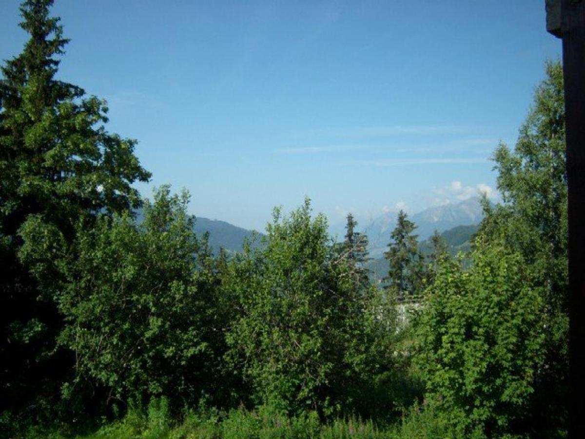 Studio Cosy 4 Pers, Rdc, Sud, A 300M Des Pistes Et 250M Commerces, Bien Equipe, Animaux Admis. - Fr-1-733-116 クレスト・ヴォラン エクステリア 写真